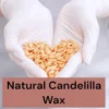 Candelilla Wax